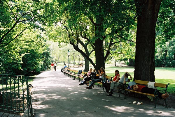 vienna178stadtparkF1060008